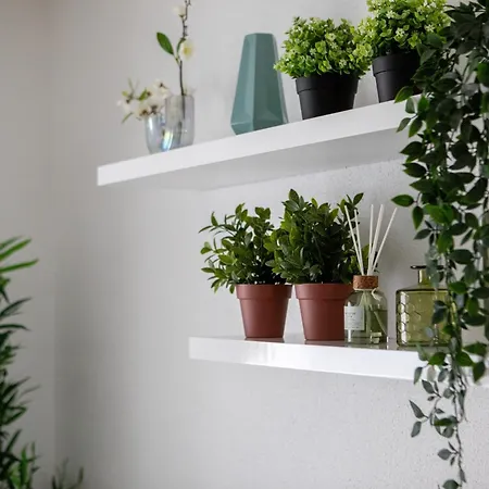 The Bright Urban Calm Basel St Louis